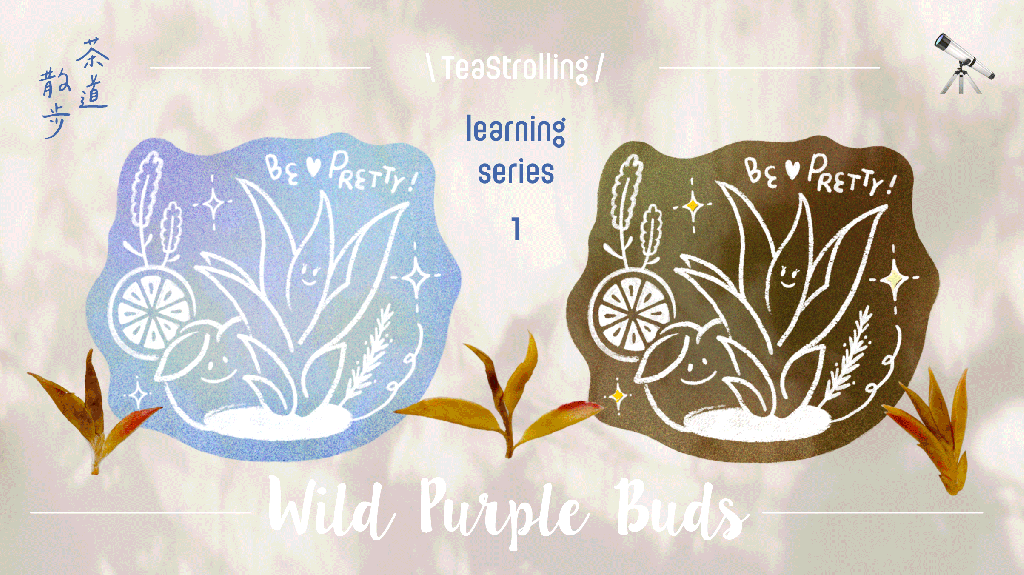 《 🔭 認識新茶》系列 –&nbsp;雲南野生紫芽苞